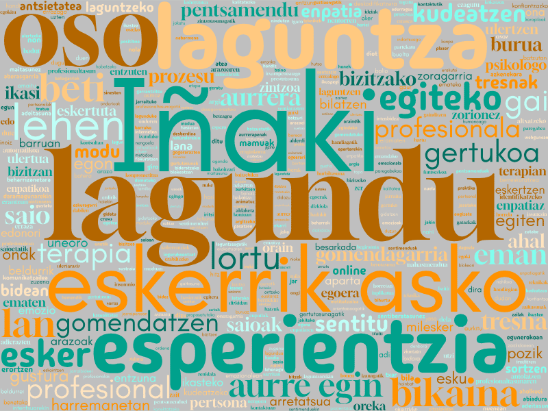 nube_euskera Googleko iritzietan maiz agertzen diren hitzen hodeia