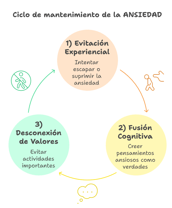 El embudo que mantiene la ansiedad
